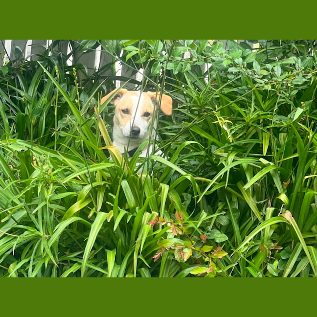 Photo of Bonnie Jrt