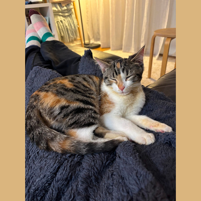 Photo of Kimchi