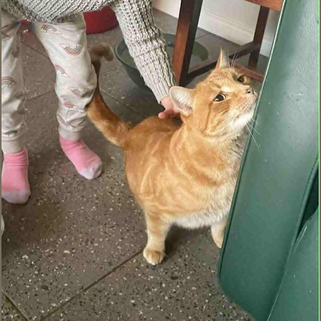 Photo of Lieutenant Dan