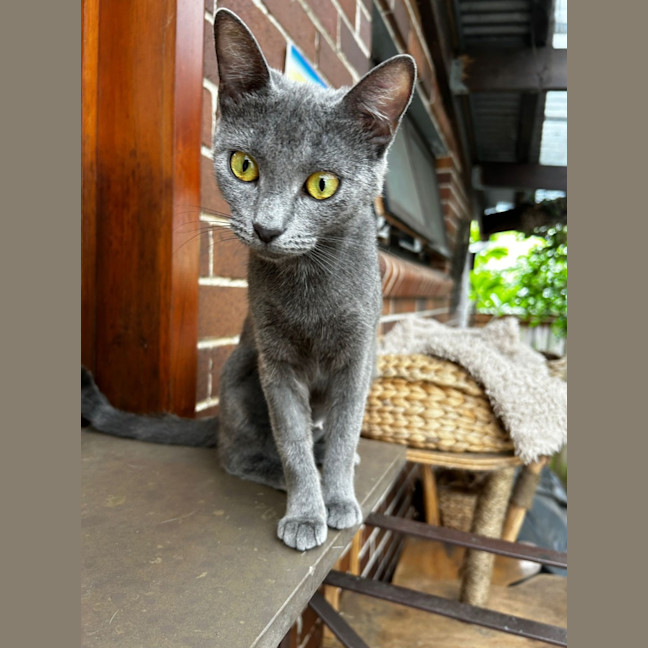 Photo of Silvie