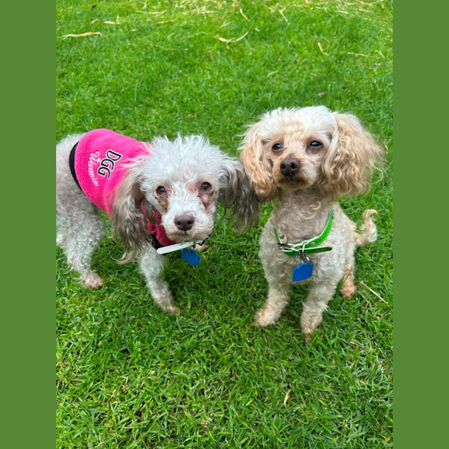 Photo of Nicole And Bobo
