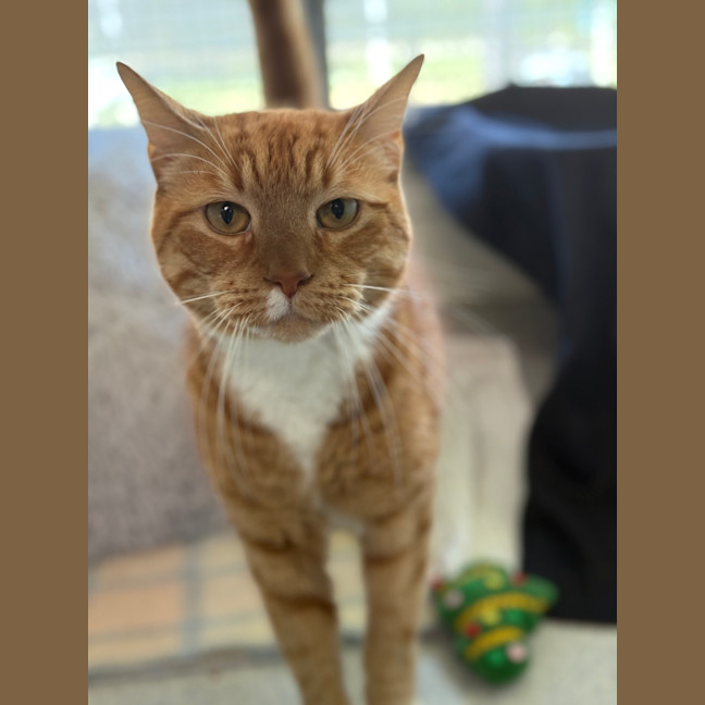 Photo of Charlie