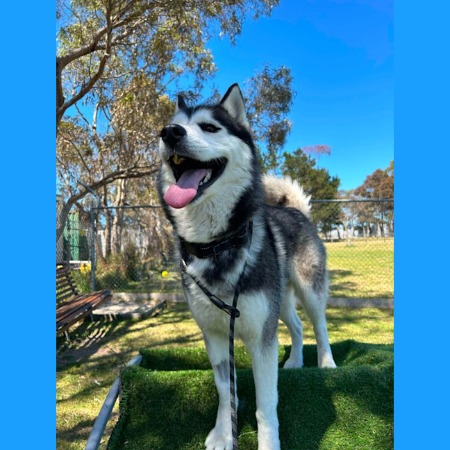 Photo of 🌪 Spiro 5596 🌪