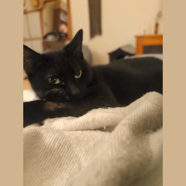 Photo of Lucy