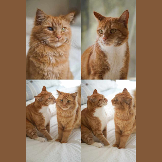 Photo of Finn & Percy