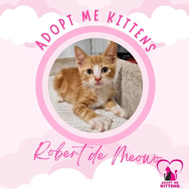 Photo of Robert De Meowo