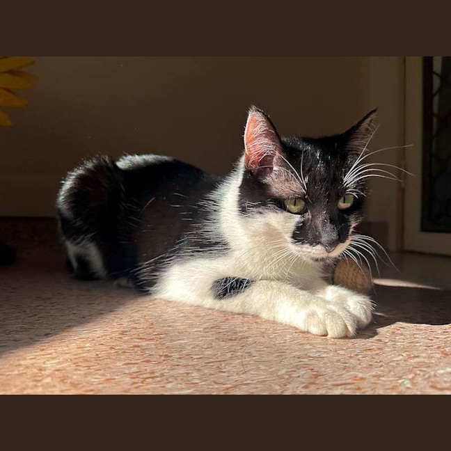 Photo of Katie