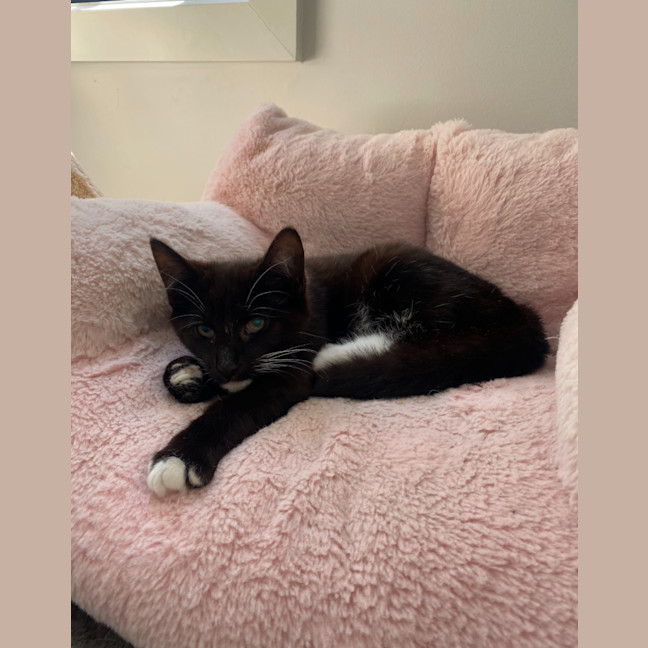 Photo of Astrid & Nova