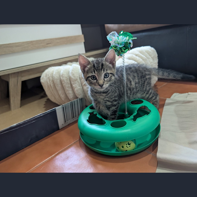 Photo of Clyde