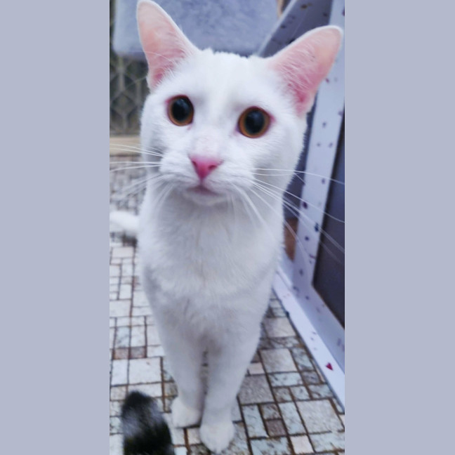 Photo of Dutchess