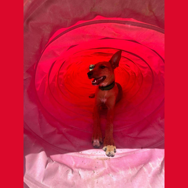 Photo of Reginald