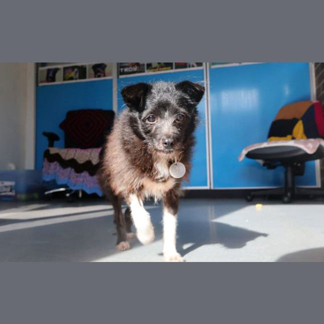 Photo of Molly