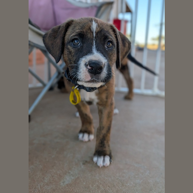 Photo of Cleo