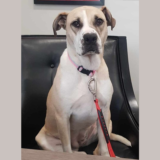 Photo of Hermione Granger