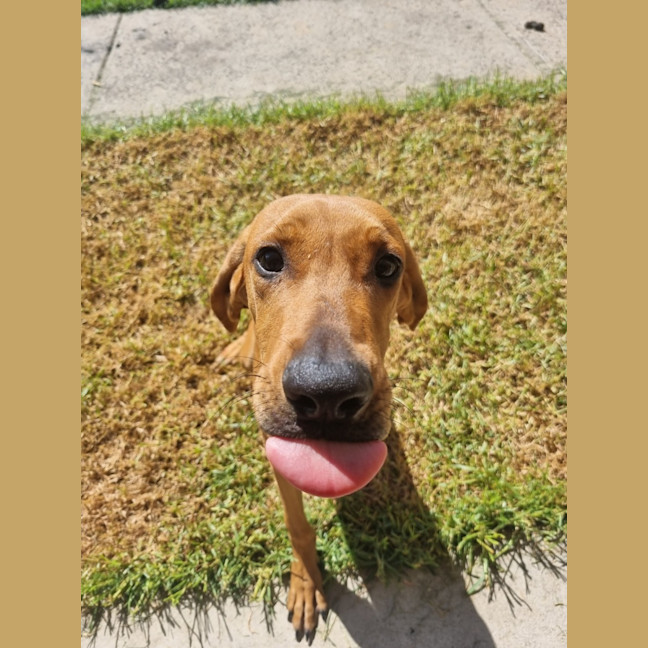 Photo of Snoop