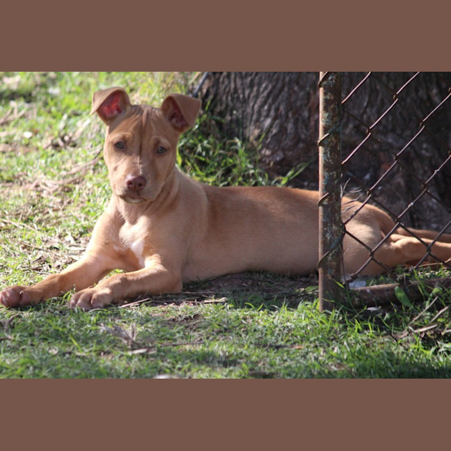 Photo of Dottie