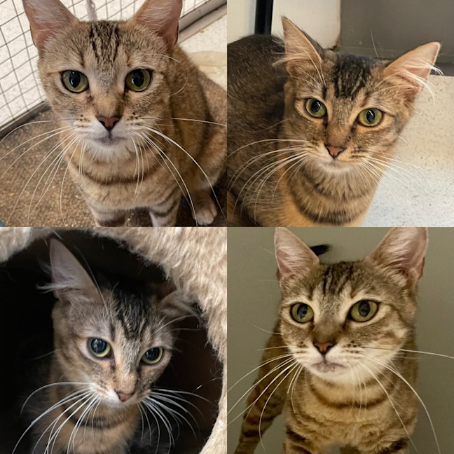 Photo of Emily And Annabelle