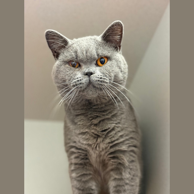 Photo of Buster