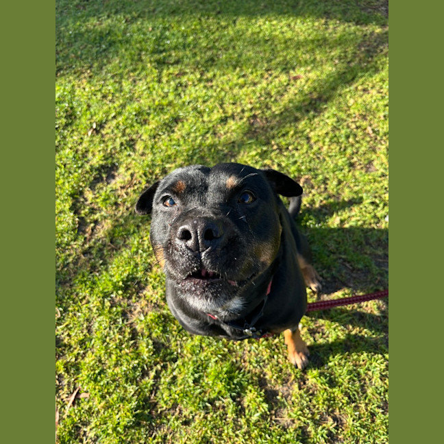 Photo of Miss P