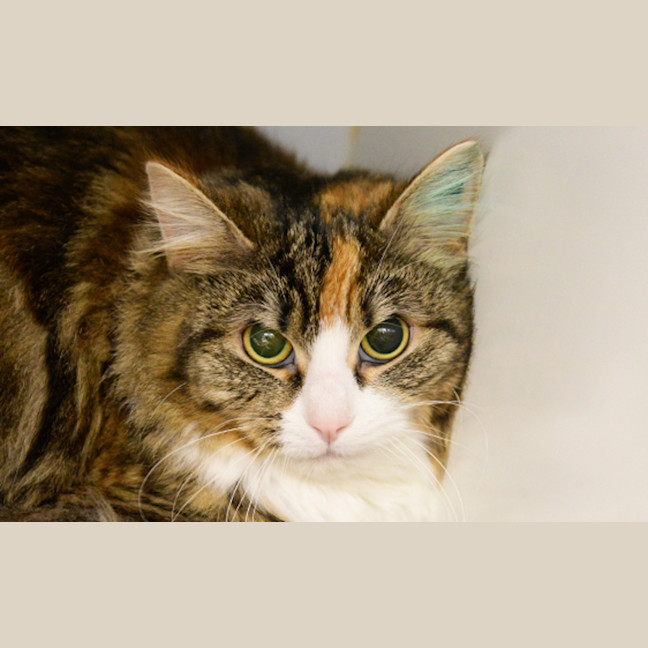 Photo of Mimi