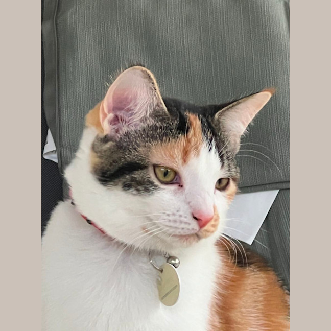 Photo of Lucia