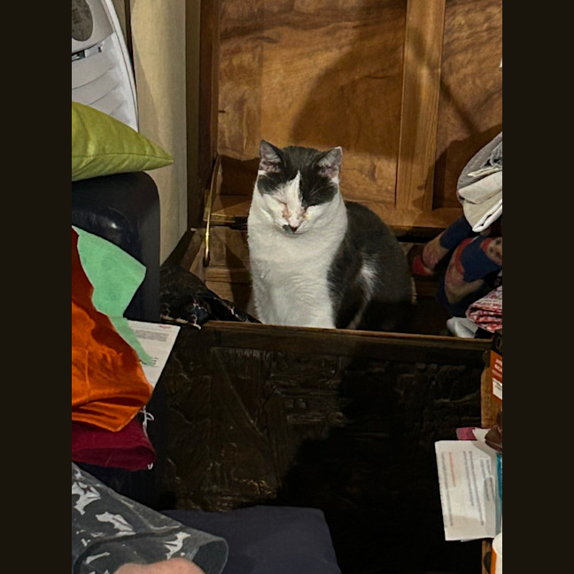 Photo of Cookie Mumma