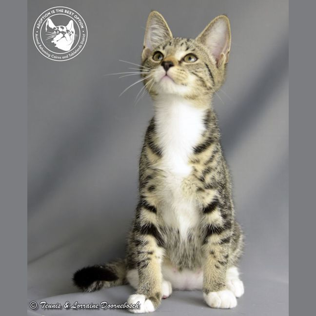 Photo of Buster Rhymes