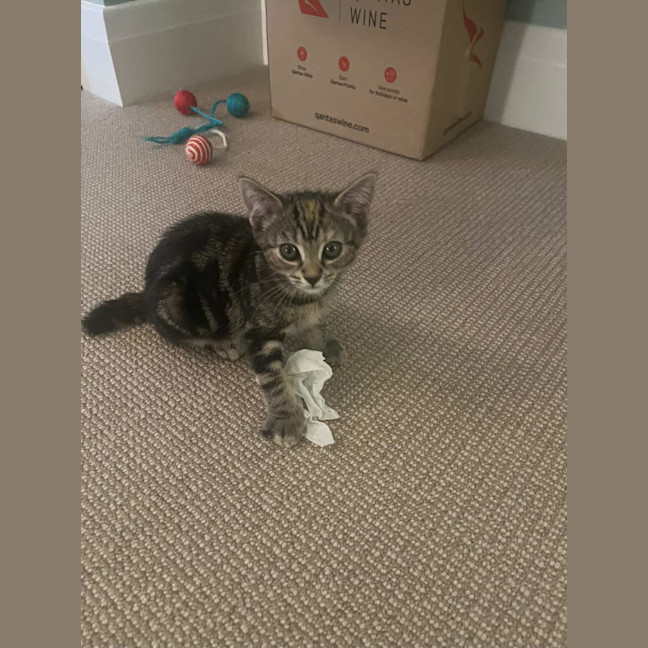 Photo of Freddie