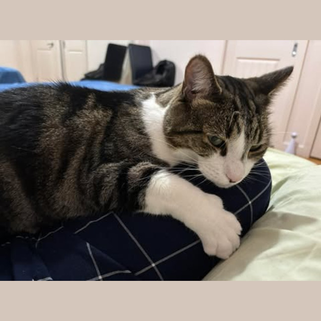 Photo of Lemon (Fka Leicester)