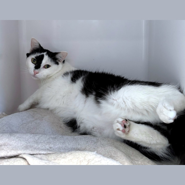 Photo of Milo Sta012316