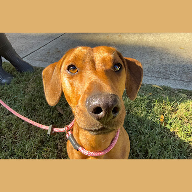 Photo of Portia