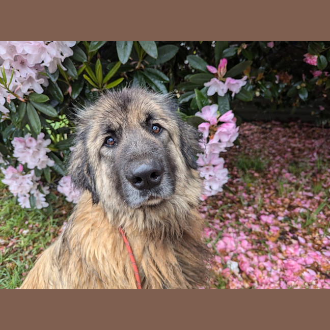 Photo of Hercules