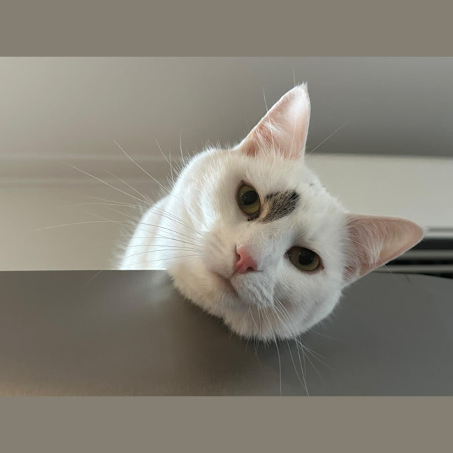 Photo of Anya