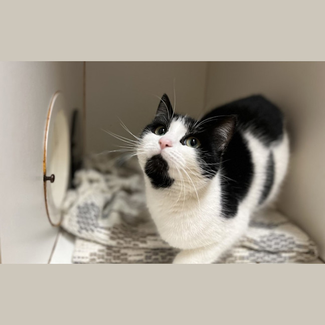 Photo of Moo