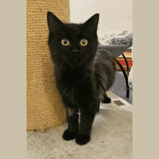 Photo of Sora