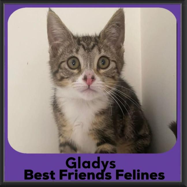 Photo of Gladys 