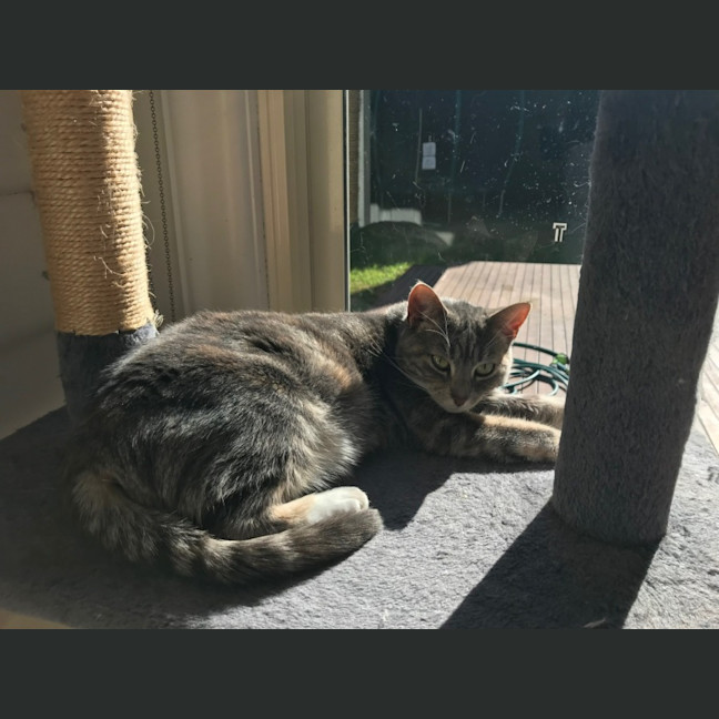 Photo of Sylvia