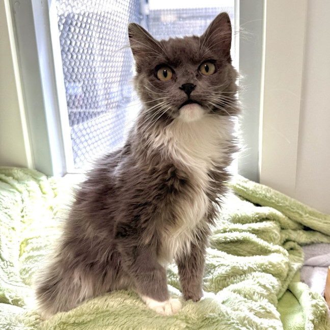 Photo of Fergus