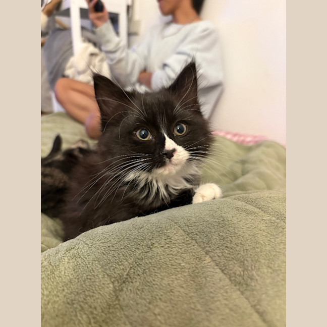 Photo of Fluoxetine Aka Flux