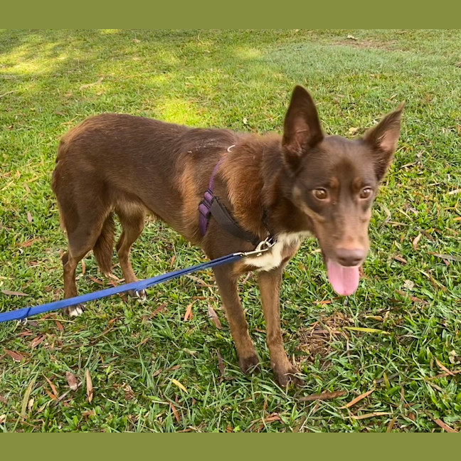 Photo of Maggie