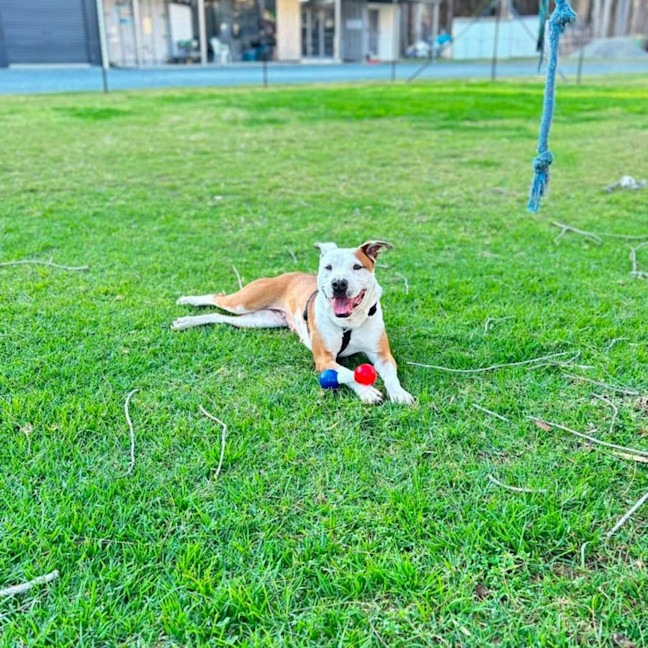 Photo of Jaz