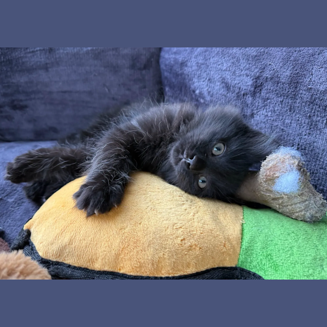 Photo of Void
