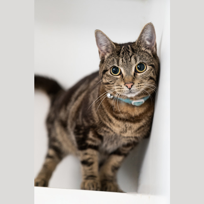 Photo of Winnie