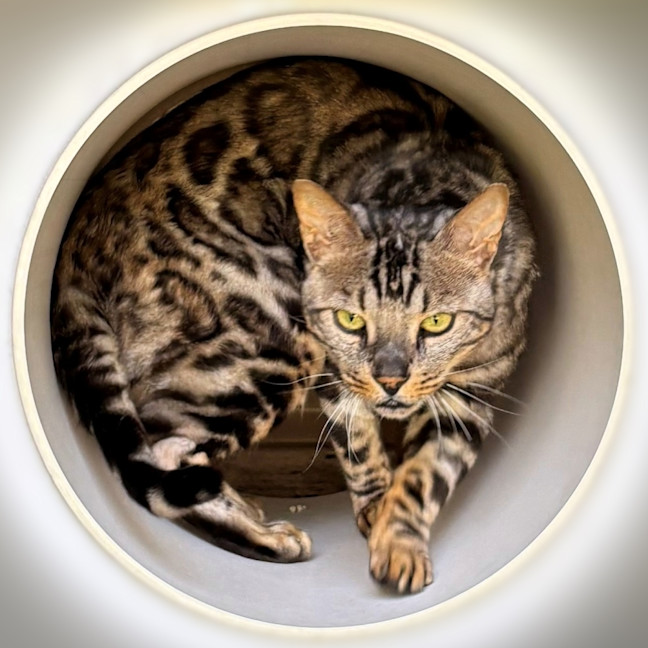 Photo of Monty Rsta012636