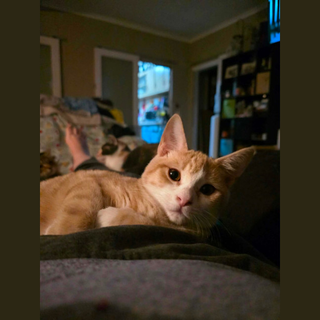 Photo of Peewee 