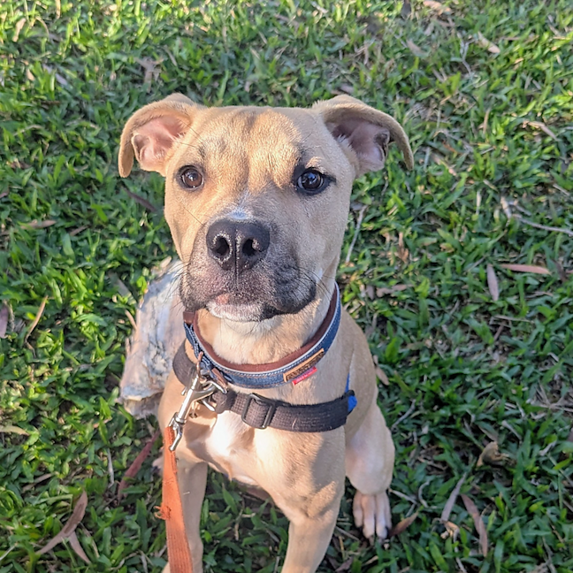 Photo of Charlie