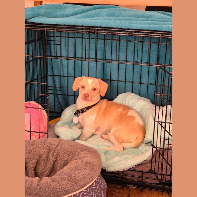 Photo of Doug