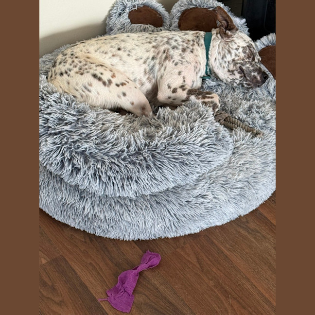 Photo of Andy