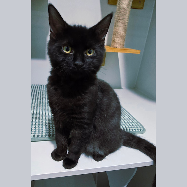 Photo of Lucky