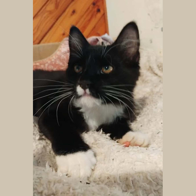 Photo of Thomas